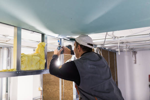 Best Commercial Insulation in Kahaluu, HI
