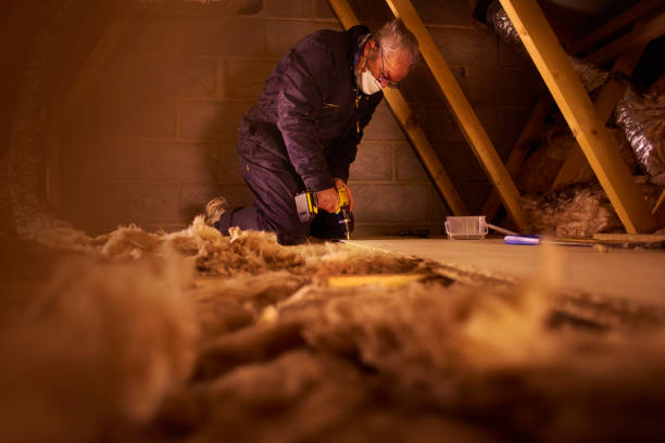 Best Types of Insulation in Kahaluu, HI