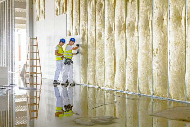 Best Insulation Installation Services in Kahaluu, HI